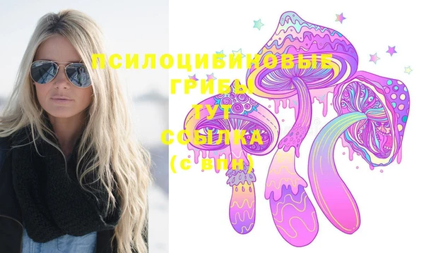 дурь Нязепетровск