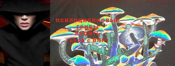 скорость Няндома