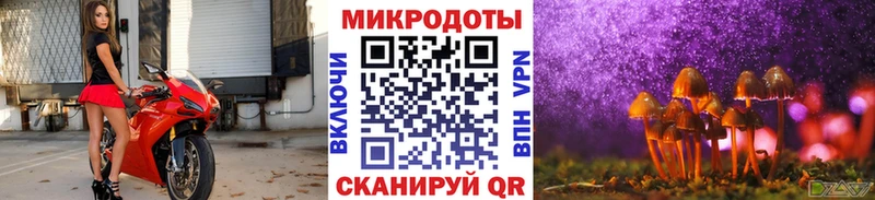 Галлюциногенные грибы MAGIC MUSHROOMS Игарка