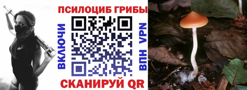 Псилоцибиновые грибы мухоморы  наркота  Игарка 